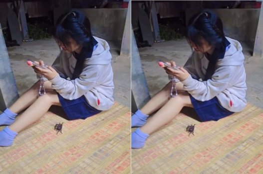 ban-sang-nha-choi-chi-mong-duoc-vet-mang